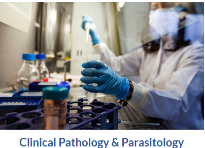 Clinical Pathology & Parasitology