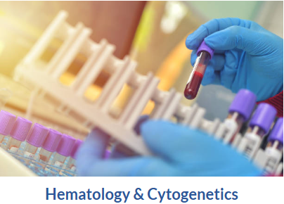 Hematology & Cytogenetics
