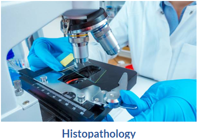 Histopathology