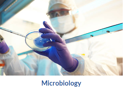 Microbiology